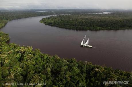 La Rainbow Warrior di Greenpeace naviga sul Rio delle Amazzoni contro la deforestazione