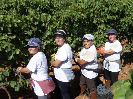 Il Salento punta sul terziario: crescono attività e lavoro, a dispetto della crisi