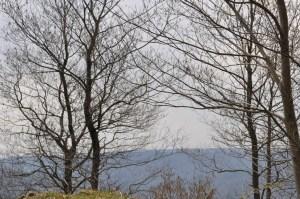 Ispezioni botaniche sul Monte Limina