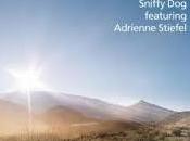 Sniffy feat. Adrienne Stiefel Little Boxes Video Testo Traduzione