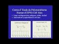 Genetica di popolazioni, GWAS e farmacogenomica (videolezioni dagli USA)