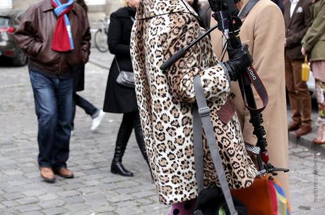 In the Street...Animal Instinct #3...Leopard, Paris & Milan