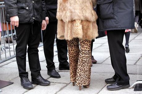 In the Street...Animal Instinct #3...Leopard, Paris & Milan