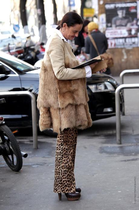 In the Street...Animal Instinct #3...Leopard, Paris & Milan