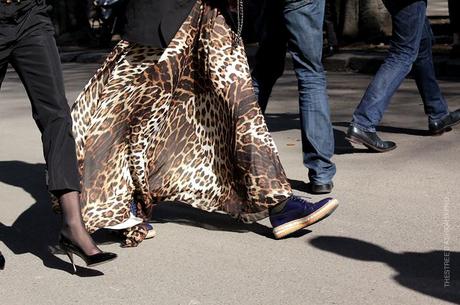 In the Street...Animal Instinct #3...Leopard, Paris & Milan