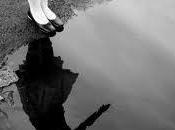 Riflessi