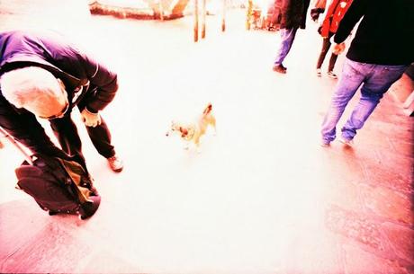 LOMOGRAPHY • scatti random in quel di Venezia con LC-Wide