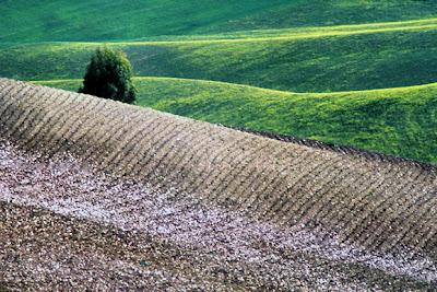 Storie di terre 1986/1987