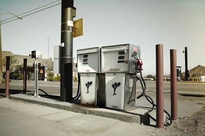 Introducing Cristina Fender Photography