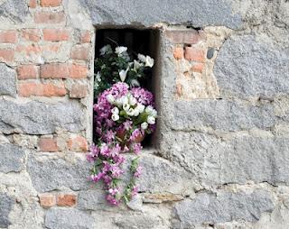 muro con fiori