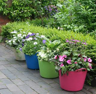 Tubtrug Small Shallow Contenitori per fiori