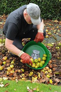 Tubtrug Small Shallow Contenitori per fiori