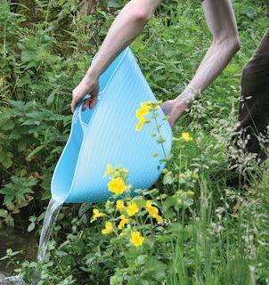 Tubtrug Small Shallow Contenitori per fiori