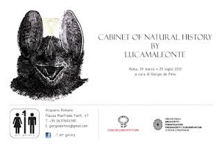 [link] Lucamaleonte @ -1 Art Gallery Casa dell'Architettura