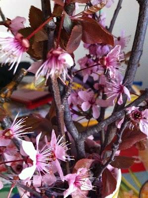 E' arrivata la Primavera: alberello di Pasqua e primavera da addobbare in casa