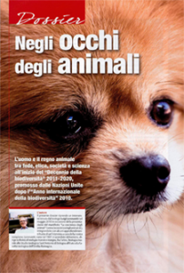 “Negli occhi degli animali”: pensieri di un teologo “eretico”