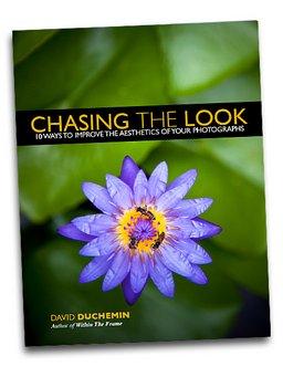 ebook chasing the look