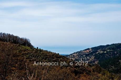 Trekking nel Gargano: bosco di Ischitella - Vico - Carpino con Explora Gargano