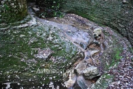 sorgente dell'Acqua del Confine