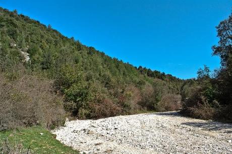 Trekking nel Gargano: bosco di Ischitella - Vico - Carpino con Explora Gargano