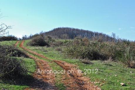 Trekking nel Gargano: bosco di Ischitella - Vico - Carpino con Explora Gargano