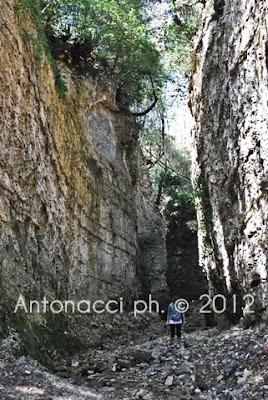 Trekking nel Gargano: bosco di Ischitella - Vico - Carpino con Explora Gargano