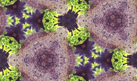 PATTERN CALEIDOSCOPICI FAI-DA-TE SUL SITO KALEIDOLISM.COM