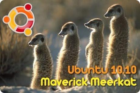 maverick-meerkat