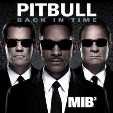 musica,pitbull,video,testi,traduzioni,video pitbull,testi pitbull,traduzioni pitbull