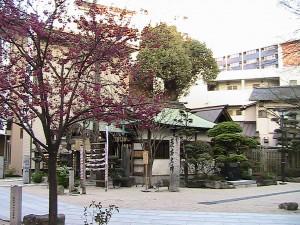 2 ore a Fukuoka dopo la chiusura di templi e musei