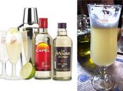 Pisco Sour Piscola