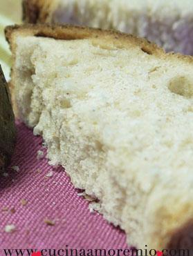 Pane alla birra