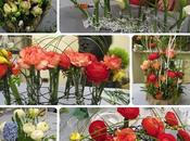 Tutti pazzi “DECORANDO” puntata