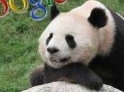 Google Panda come funziona, fortuna rovina
