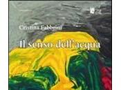 senso dell&#8217;acqua: romanzo raccontare mistero delle vite passate