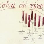 i colori del vino di Maurizia Gentili