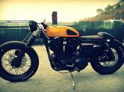 Passion Custom