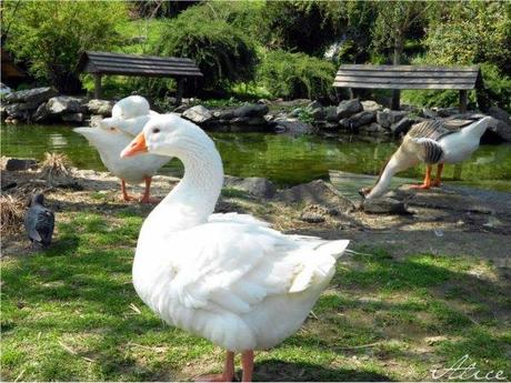 Parco del Valentino