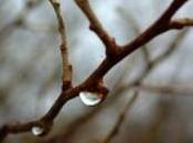 Nuoro: Pietro ucciso Milano