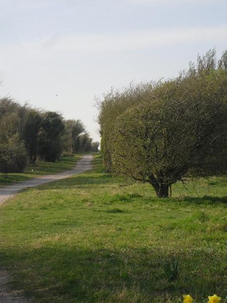 OOTD: Devil's Dyke Walk