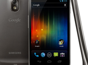 Guida aggiornamento Android 4.0.4 Galaxy Nexus