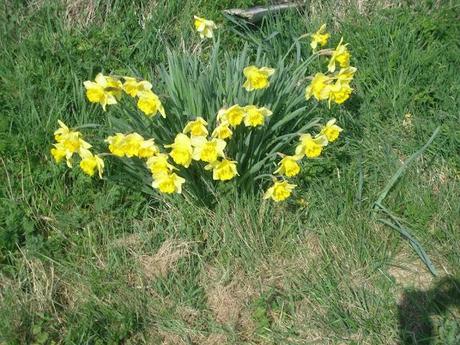 OOTD: Devil's Dyke Walk