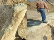 sorprese della necropoli Montalto Castro