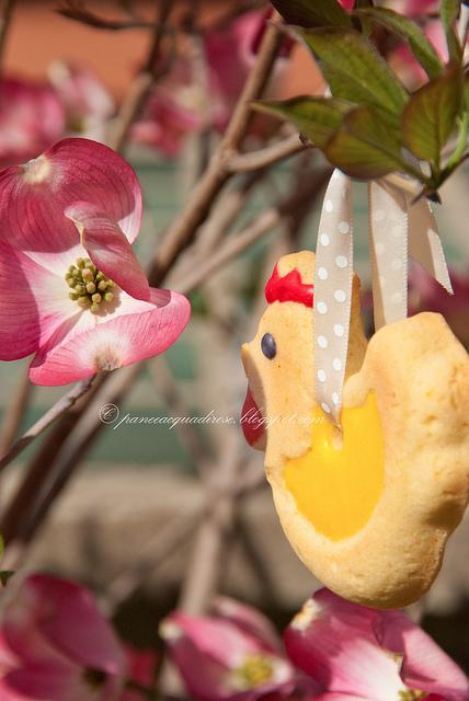 biscotti pasqua