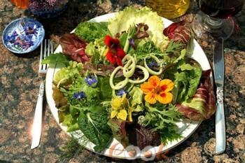 Insalata pasqualina - Piatto ultimato Insalata pasqualina - Piatto ultimato