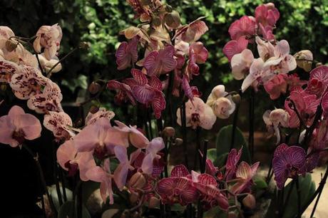 Midday and midnight in Paris - University zone