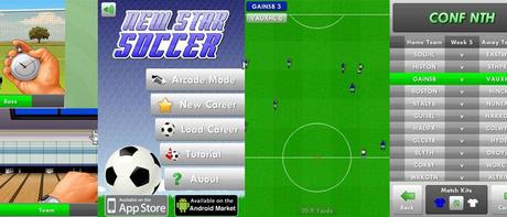 Flash games: New Star Soccer