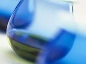 Formazione sull'olio d'oliva. date nuovi corsi.