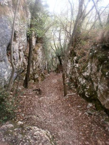 Trekking in direzione del Ponte di Veja