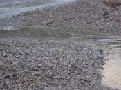 Regione, pubblicato Gazzetta l’elenco delle spiagge balneabili